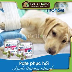 Pate Monge VetSolution Recovery - Thúc đẩy, Phục hồi dinh dưỡng cho chó