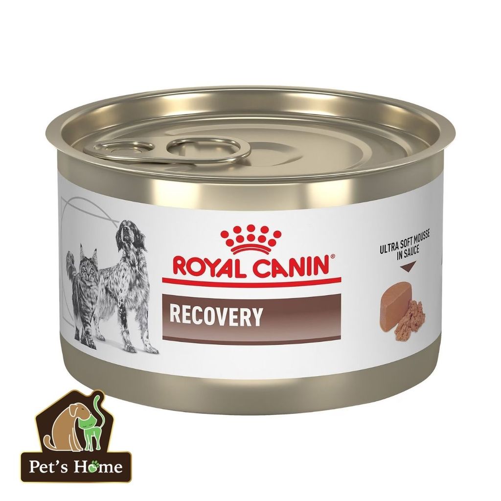 Pate Royal Canin Recovery giúp phục hồi cho chó mèo lon 195g