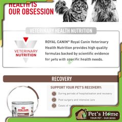 Pate Royal Canin Recovery giúp phục hồi cho chó mèo lon 195g