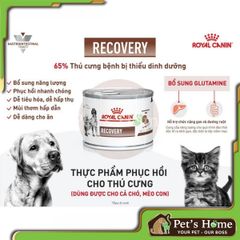 Pate Royal Canin Recovery giúp phục hồi cho chó mèo lon 195g