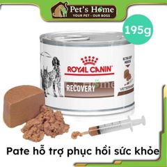 Pate Royal Canin Recovery giúp phục hồi cho chó mèo lon 195g