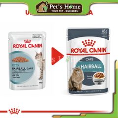 Pate Royal Canin Hairball Care trị búi lông cho mèo 85g