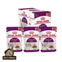 Pate Royal Canin Sensory Feline kích thích ăn uống cho mèo 85g