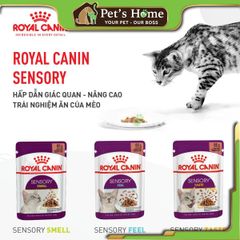 Pate Royal Canin Sensory Feline kích thích ăn uống cho mèo 85g