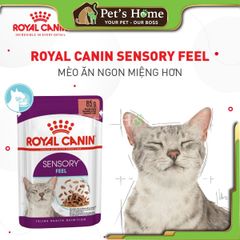 Pate Royal Canin Sensory Feline kích thích ăn uống cho mèo 85g