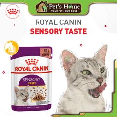 Pate Royal Canin Sensory Feline kích thích ăn uống cho mèo 85g