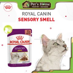 Pate Royal Canin Sensory Feline kích thích ăn uống cho mèo 85g