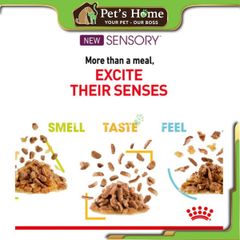 Pate Royal Canin Sensory Feline kích thích ăn uống cho mèo 85g