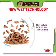 Pate Royal Canin Sensory Feline kích thích ăn uống cho mèo 85g