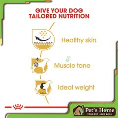 Pate Royal Canin Urinary S/O Canine 100g