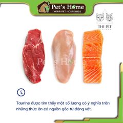 Pate tươi The Pet 100% thức ăn tươi cho mèo không chất bảo quản tự làm tại Việt Nam 1kg