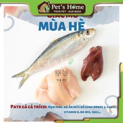 Pate tươi The Pet 100% thức ăn tươi cho mèo không chất bảo quản tự làm tại Việt Nam 1kg