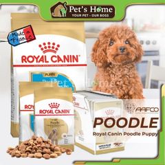 Hạt Royal Canin Poodle [500g, 1,5kg] Thức ăn hạt cho chó Poodle Pháp