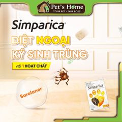 Simparica trị ngoại ký sinh trùng cho chó