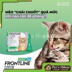 Nhỏ gáy trị ve rận cho mèo Frontline Plus