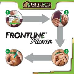 Nhỏ gáy trị ve rận cho mèo Frontline Plus