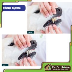 Xương gặm sạch răng cho chó Altimate Pet Dental Chews