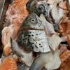 Cá Hồi Nauy nguyên con sạch ruột 1kg/gói