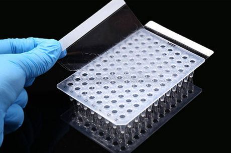 NEST - Sinh học tế bào – Màng niêm phong thông thường PCR