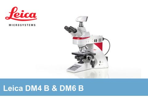 Leica - Kính hiển vi huỳnh quang DM4 B & DM6 B
