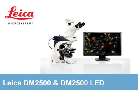 Leica - Kính hiển vi huỳnh quang DM2500 & DM2500 LED