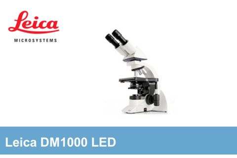 Leica - Kính hiển vi huỳnh quang DM1000 LED