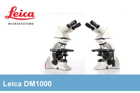 Leica - Kính hiển vi huỳnh quang DM1000