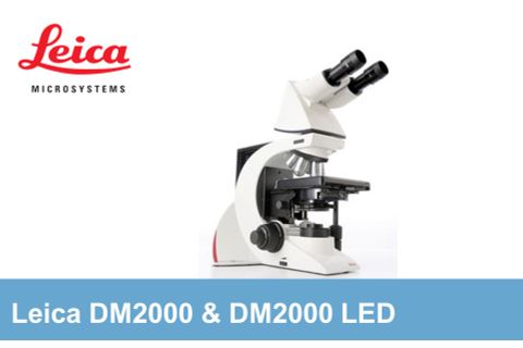 Leica - Kính hiển vi huỳnh quang soi ngược Leica DM2000 & DM2000 LED