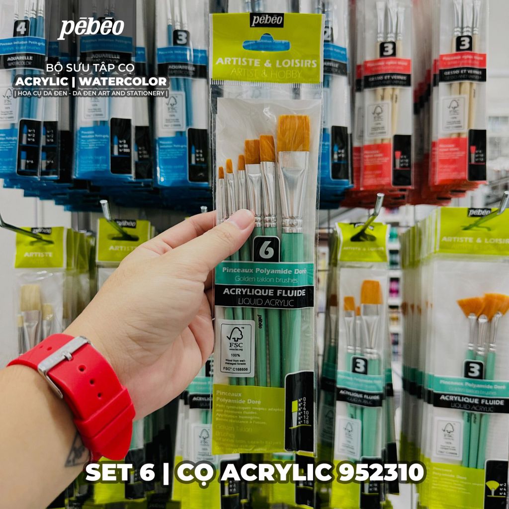 [DA ĐEN] Set Cọ Acrylic Pebeo Pébéo