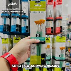 [DA ĐEN] Set Cọ Acrylic Pebeo Pébéo