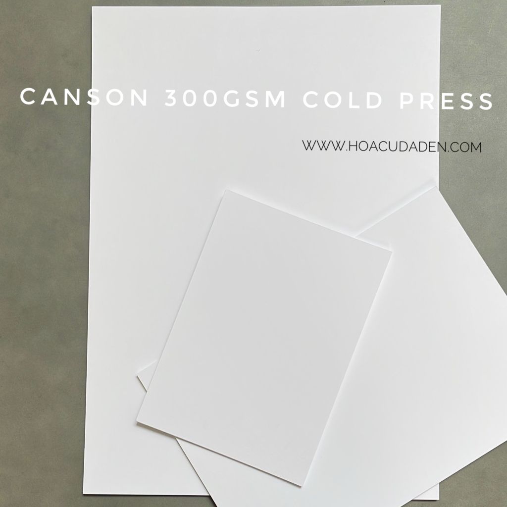 Giấy Canson Dày 300gsm Cold Press Tệp 10 Tờ