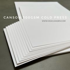 Giấy Canson Dày 300gsm Cold Press Tệp 10 Tờ