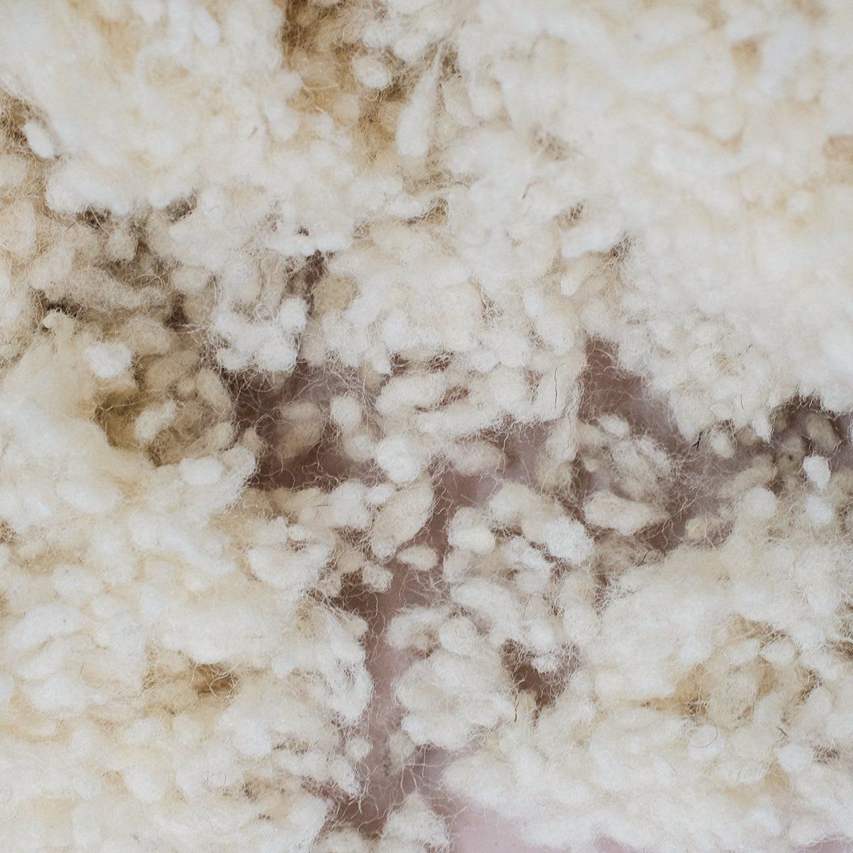 Lông cừu hữu cơ nhồi gối | Organic filling wool knobs | COTONEA