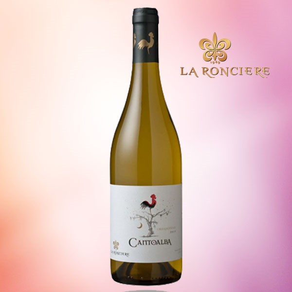 Kết quả hình ảnh cho vang chile cantoalba chardonnay