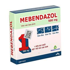 Thuốc điều trị các loại giun đường ruột Mebendazol 500mg (Hộp 1 vỉ x 1 viên)