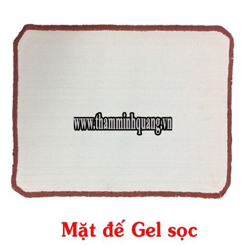 Thảm chùi chân gel sọc