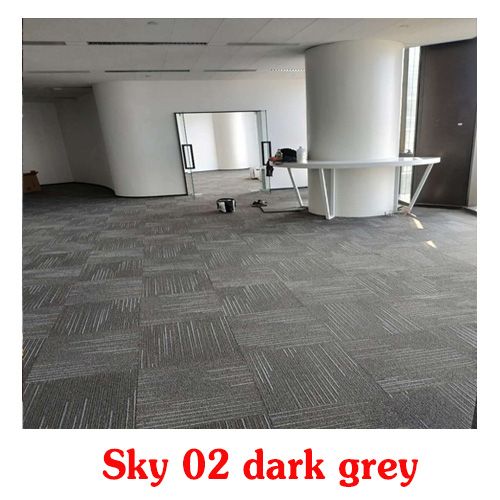 Thảm giá rẻ Sky 02 màu xám đậm