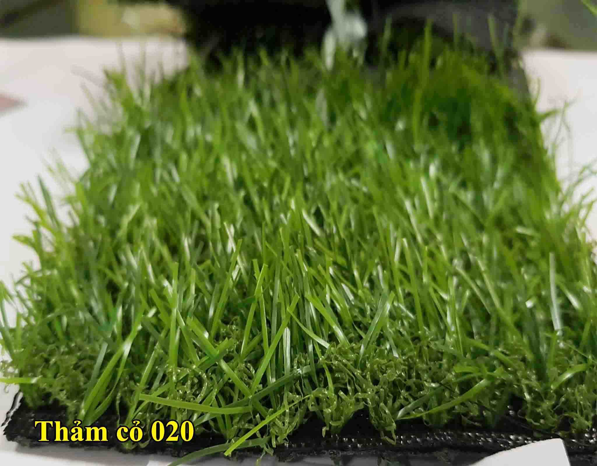 Thảm cỏ dày 20mm 020