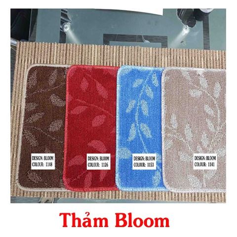 tham len trai khach san Bloom