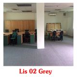 lis 02 grey