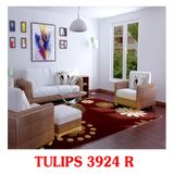 Tham salon phong khach TULIPS 3924R