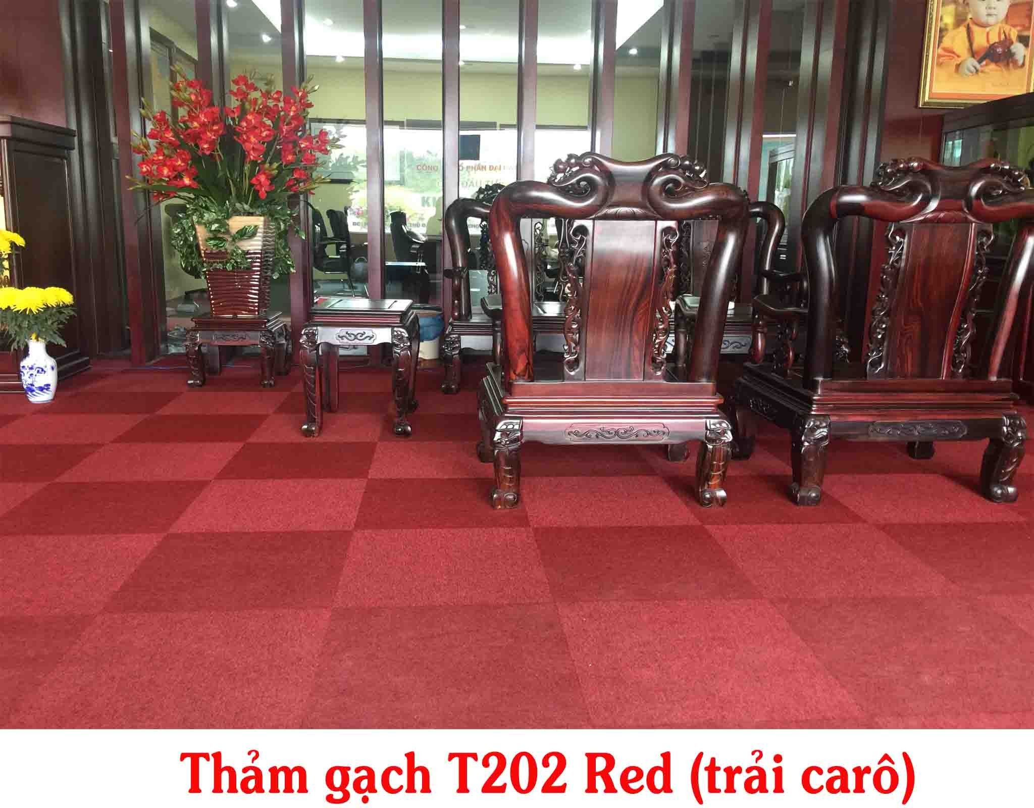Thảm Màu Trơn Alfa