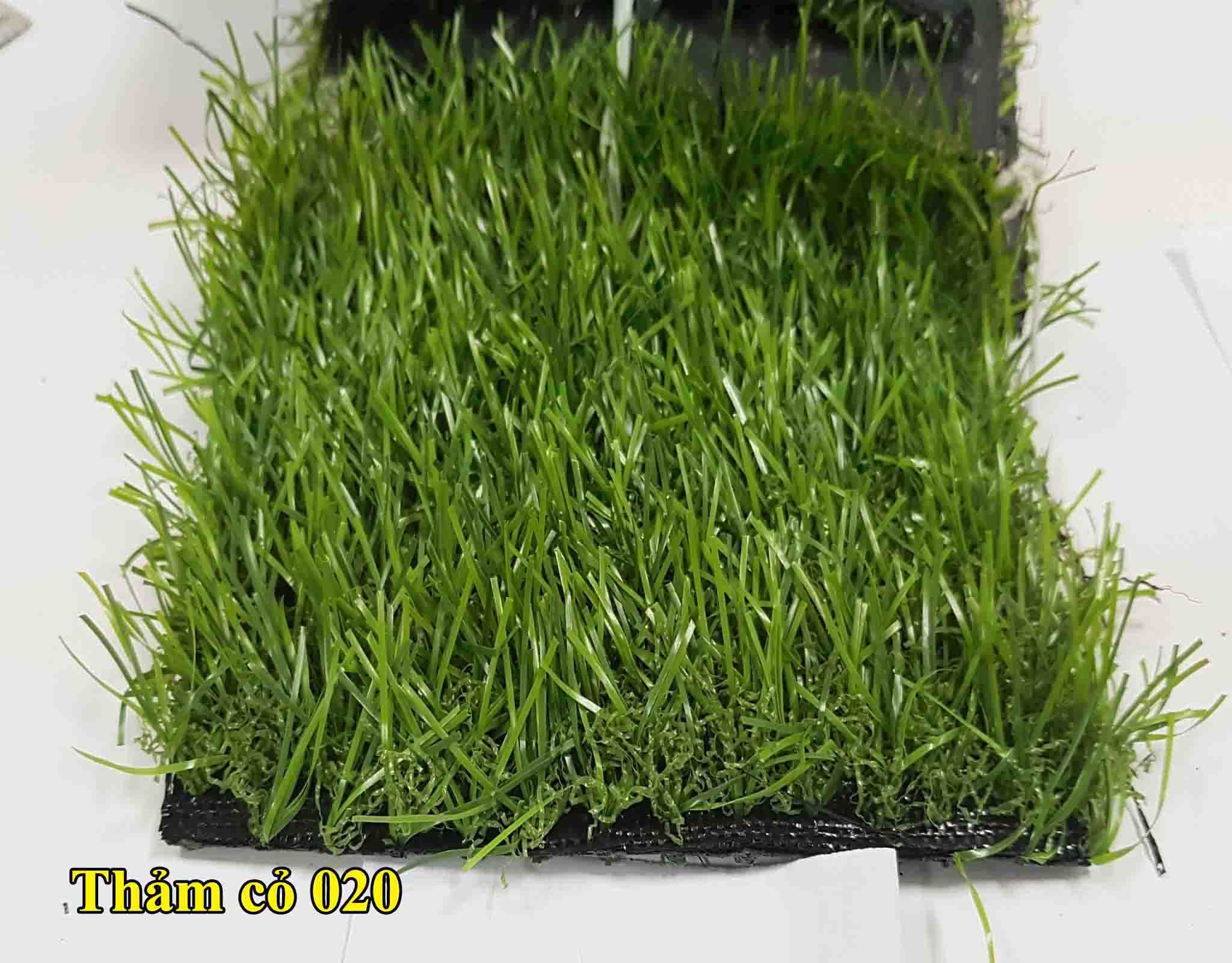 Thảm cỏ dày 20mm 020