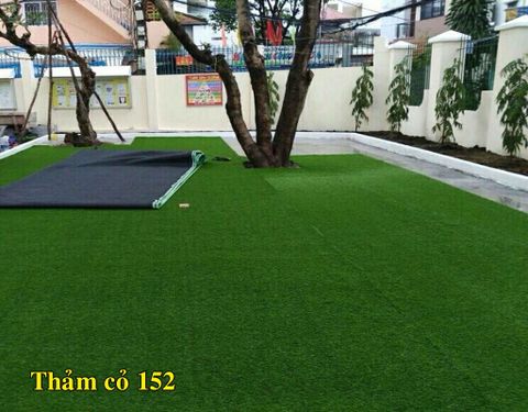 Thảm cỏ dày 152-15mm