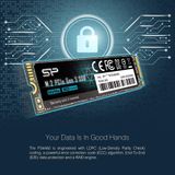  Ổ cứng Silicon Power M.2 2280 PCIe SSD A60 256GB - Hàng chính hãng 