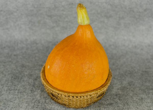  Bí ngô Kuri VietGap – Kuri Pumpkin VietGap – 1kg 