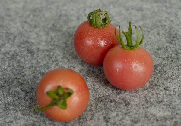  Cà chua bi hồng hữu cơ- Organic pink grape tomato- 1kg 