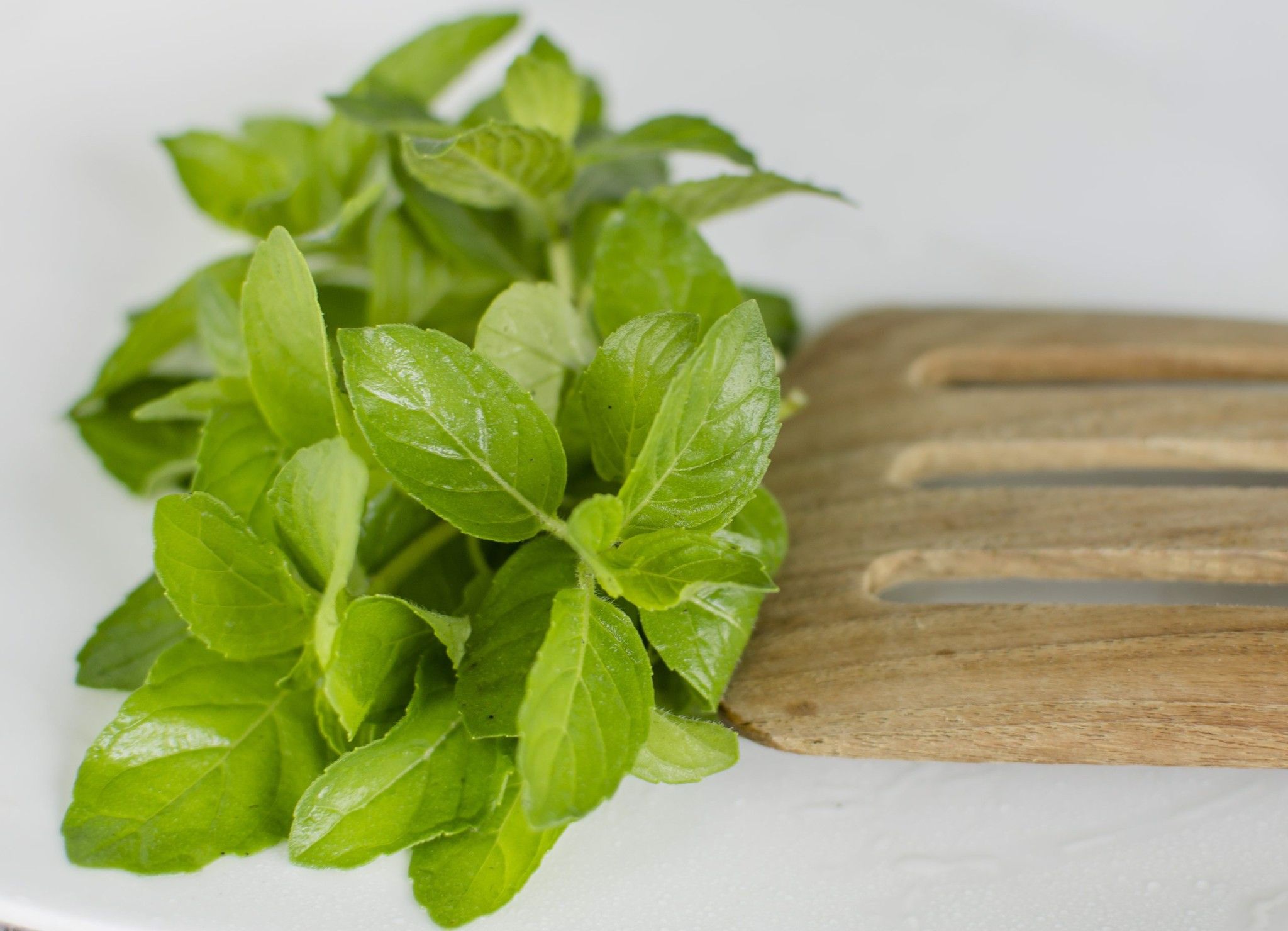  Bạc hà Pháp hữu cơ- Organic French Peppermint- 50gr 