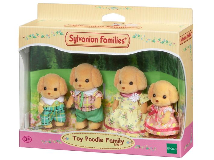 Toy Poodle Family