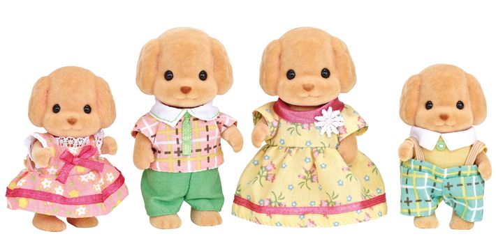 Toy Poodle Family
